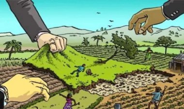 दंतेश्वरी हर्बल समूह पर सरकारी जमीन कब्जाने का आरोप