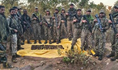 जंगल से 82 नग बीजीएल सेल सुरक्षा बलों के हाथ लगी