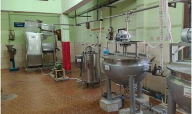 वन विभाग का नवाचार : बस्तर की इमली चटनी को राष्ट्रीय पहचान दिलाएंगी सुकमा की महिलाएं