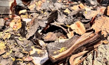 रायपुर DEO ऑफिस लगी आग में 26 साल का पूरा डेटा जलकर खाक