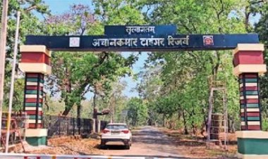 संरक्षण व्यवस्था पर लापरवाही उजागर, अचानकमार में ट्रैप कैमरा डेटा गायब