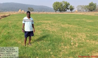 कम लागत में ज्यादा मुनाफा: रबी में गेहूं की खेती से किसानों की बढ़ी आमदनी