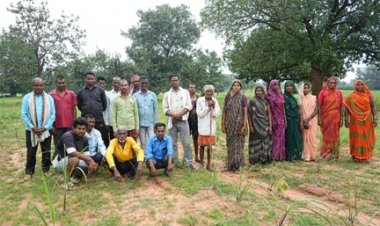 लेमनग्रास की खेती से बदल रही छोटे किसानों की किस्मत