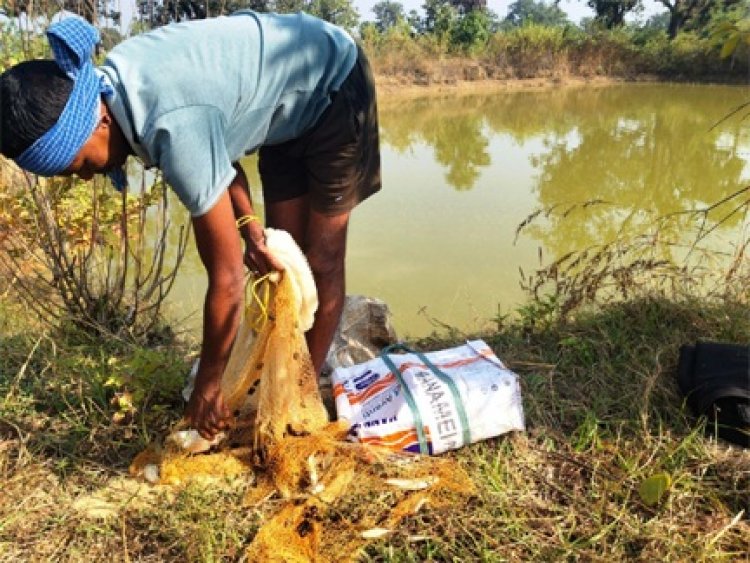 आजीविका डबरी : छोटे किसानों की आत्मनिर्भरता की नई राह