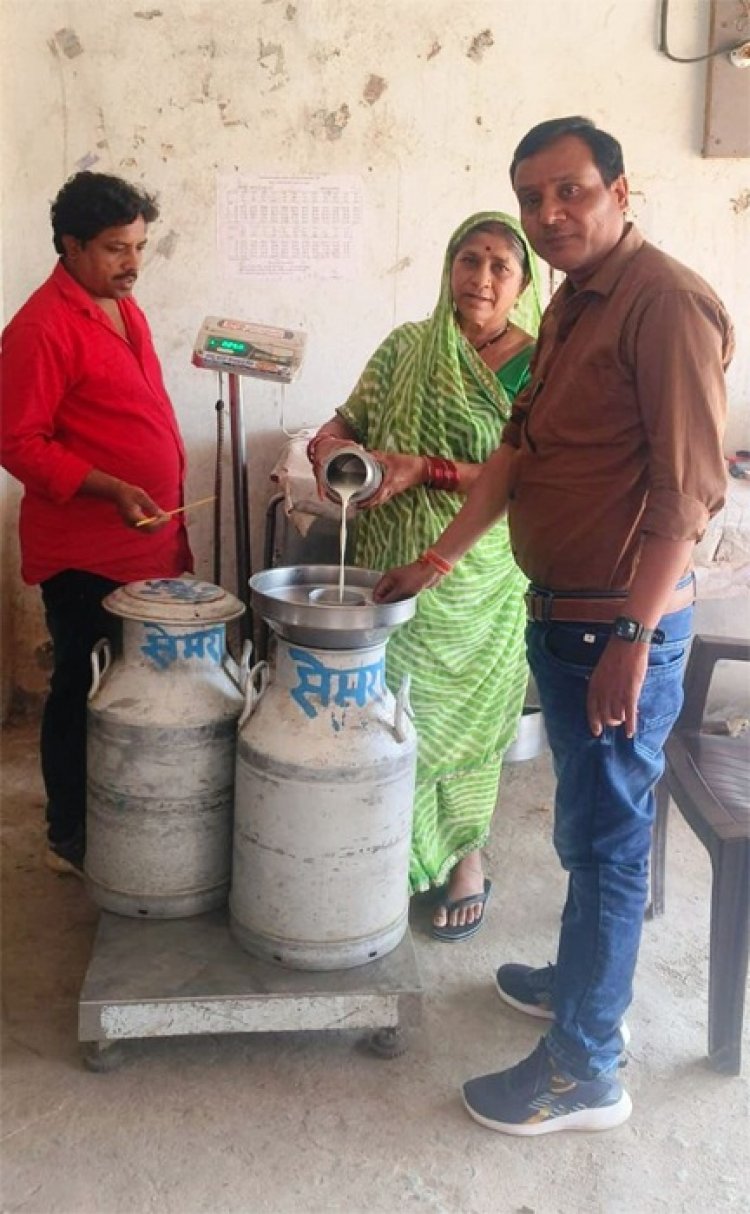 श्वेत क्रांति की नई पहचान धमतरी जिला