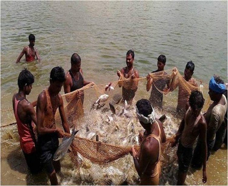 प्रधानमंत्री मत्स्य सम्पदा योजना से जिले में आई मत्स्य क्रांति