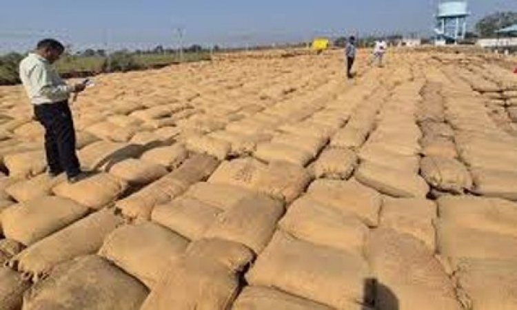 धान खरीदी में लापरवाही पर प्रशासन की सख्त कार्रवाई