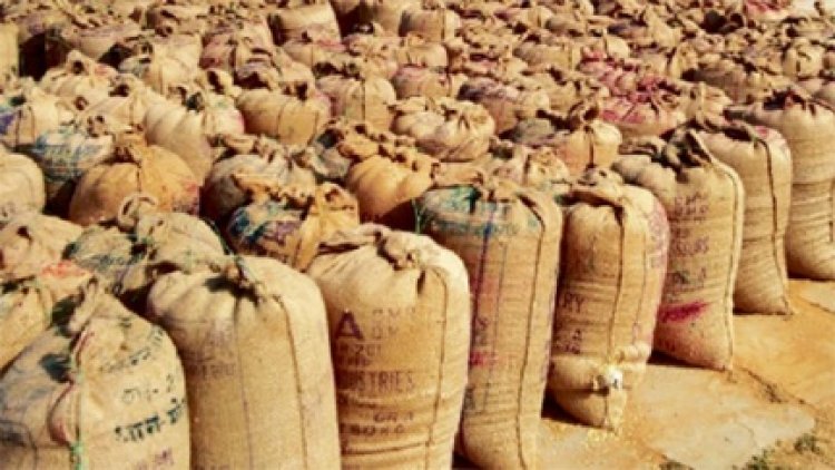 बिलासपुर में 56 करोड़ से अधिक का धान जब्त