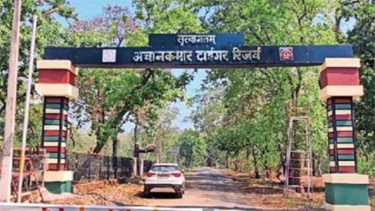 संरक्षण व्यवस्था पर लापरवाही उजागर, अचानकमार में ट्रैप कैमरा डेटा गायब