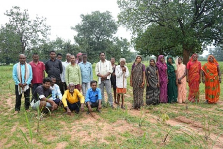 लेमनग्रास की खेती से बदल रही छोटे किसानों की किस्मत