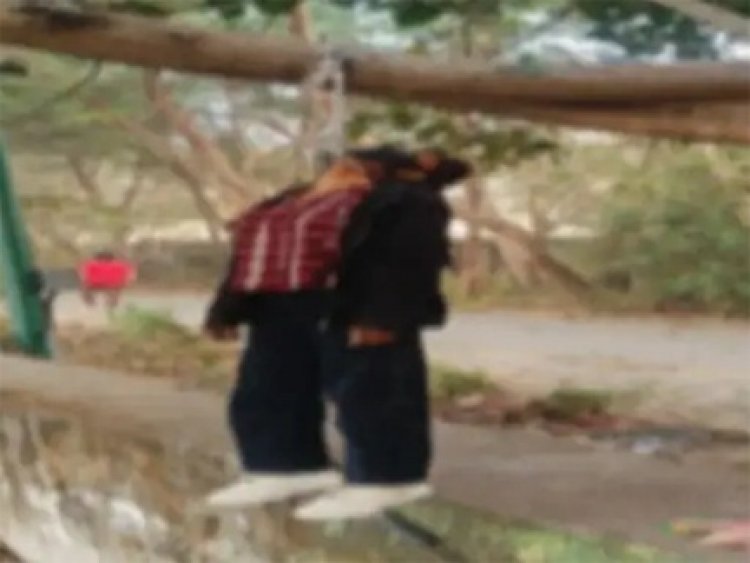 रायपुर में पेड़ में लटकी मिली युवती की लाश