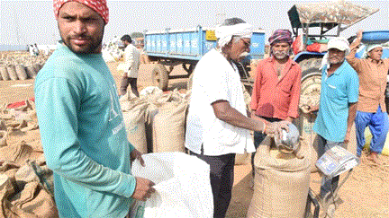 धान खरीदी का लक्ष्य नहीं हुआ पूरा, पिछले साल से भी 9 लाख टन कम