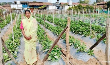 बिहान योजना से आत्मनिर्भर बनी ग्राम झलमला की जानकी धुर्वे