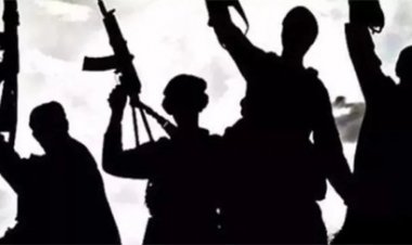 पाकिस्तानी आतंकी नकवी की भारत को खुली धमकी