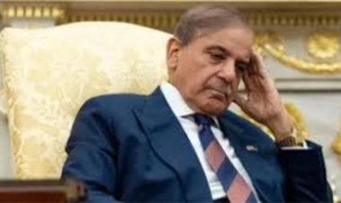 शहबाज शरीफ ने एक बार फिर कश्मीर मुद्दे पर भड़काऊ भाषण दिया