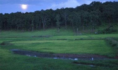 प्रकृति, संस्कृति और मनोरंजन का त्रिवेणी संगम : 13 फरवरी से सजेगा तीन दिवसीय ’मैनपाट महोत्सव’ का भव्य मंच