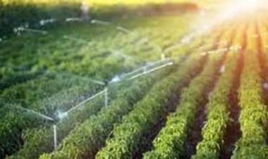 केंदा व्यपवर्तन और सल्का नवागांव उद्वहन सिंचाई योजना के लिए 7.15 करोड़ रुपये स्वीकृत