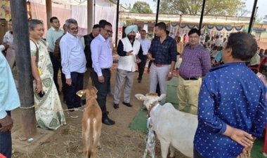 केन्द्रीय पर्यवेक्षकों ने छत्तीसगढ़ में पशुधन योजनाओं का लिया फीडबैक