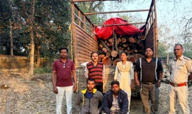 खैर लकड़ी की अंतर्राज्यीय तस्करी का भंडाफोड़