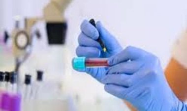 उच्च शिक्षा विभाग में प्रयोगशाला तकनीशियनों की नियुक्ति, चयनित अभ्यर्थियों को मिला पदस्थापना आदेश