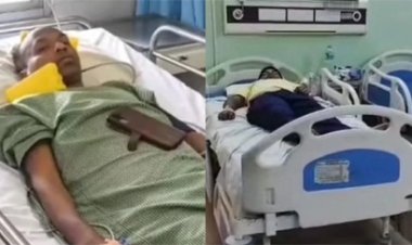 धमतरी में मधुमक्खियों का कहर, छात्र सहित 5 घायल