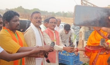 मुख्यमंत्री साय के जन्मदिवस पर पादप बोर्ड द्वारा 2100 औषधीय पौधों का वितरण