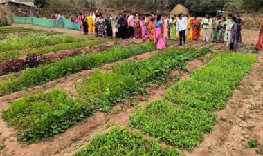 बस्तर के नवाचार देख उत्साहित हुईं बिलासपुर की दीदियाँ