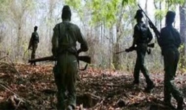 बीजापुर में दो वर्दीधारी माओवादी ढेर