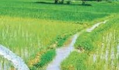 महाराटोला जलाशय और कांशीनाला व्यपवर्तन सिंचाई योजना के कार्यों के लिए 2.92 रुपए स्वीकृत