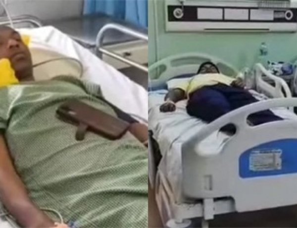 धमतरी में मधुमक्खियों का कहर, छात्र सहित 5 घायल