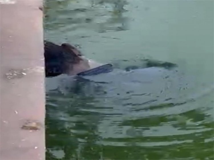 कंकाली पारा तालाब में युवक की लाश मिलने से इलाके में दहशत