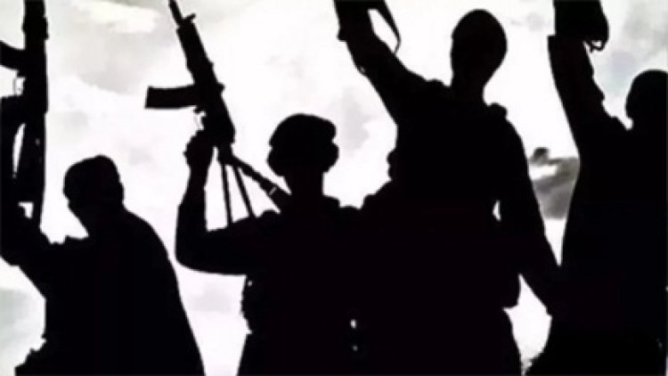 पाकिस्तानी आतंकी नकवी की भारत को खुली धमकी