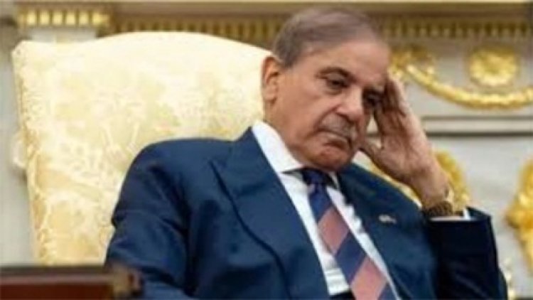 शहबाज शरीफ ने एक बार फिर कश्मीर मुद्दे पर भड़काऊ भाषण दिया