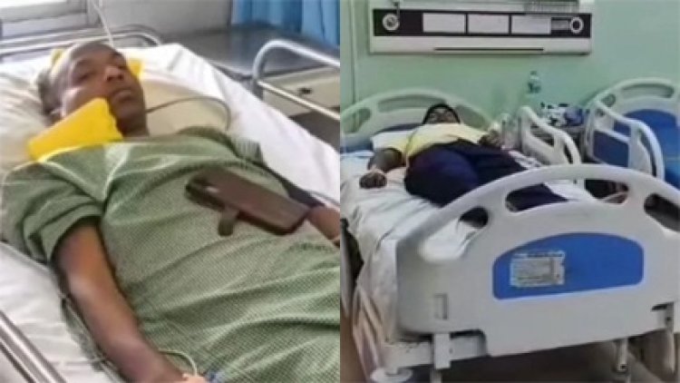 धमतरी में मधुमक्खियों का कहर, छात्र सहित 5 घायल