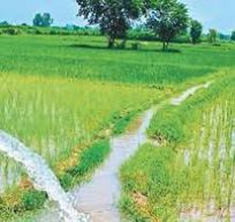 महाराटोला जलाशय और कांशीनाला व्यपवर्तन सिंचाई योजना के कार्यों के लिए 2.92 रुपए स्वीकृत