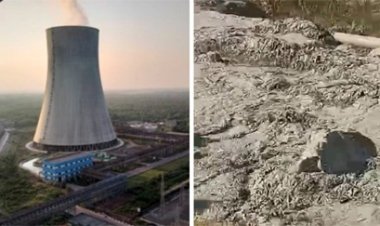 हसदेव ताप विद्युत संयंत्र का राखड़ बांध टूटा