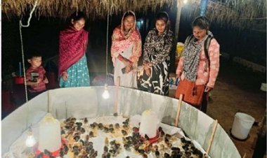 मुर्गीपालन से बदली अनुसुइया नेताम की जिंदगी