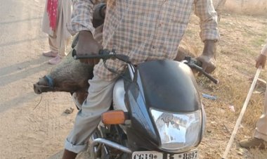 अवैध शिकार के खिलाफ वन विभाग की बड़ी कार्रवाई, सात आरोपी गिरफ्तार