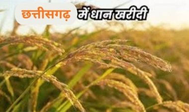 बस्तर के 44 हजार किसान धान बेचने से वंचित, बढ़ी चिंता