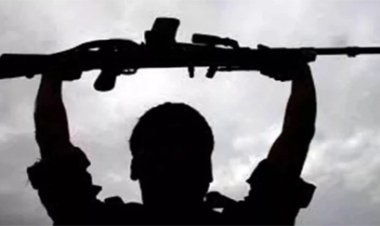 माओवादी विरोधी अभियानों के इतिहास में अब तक की सबसे बड़ी डंप बरामदगी की गई है