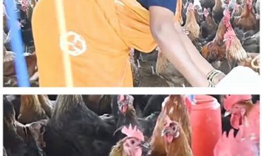 आजीविका मिशन से बदली तस्वीर: चर्रा की योगेश्वरी देवांगन बनीं महिला सशक्तिकरण की प्रेरणा