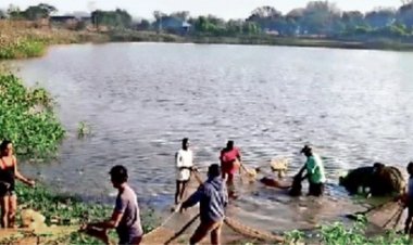 रतनपुर तालाब: बड़ी मछली की उम्मीद, मगरमच्छ ने दी झटका