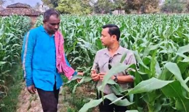 धान से मक्का की ओर बढ़ते कदम :फसलचक्र परिवर्तन से धमतरी के किसानों की बढ़ी आय, जल संरक्षण को मिली नई दिशा