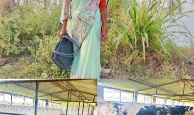 मछली पालन से बदली लक्ष्मी की जिंदगी