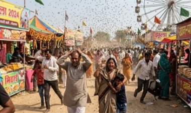 माकड़ी क्षेत्र में बड़ा हादसा: मेले में मधुमक्खियों ने मचाई अफरा-तफरी