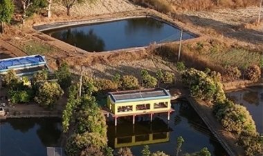 तालाब के ऊपर मुर्गी पालन कर खेती को और अधिक लाभकारी बनाया