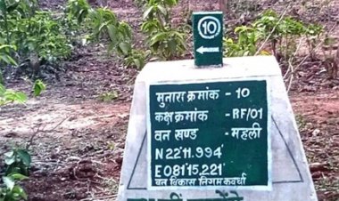 वनों की सुरक्षा को मिला नया कवच- 227 मुनारों का निर्माण पूर्ण