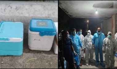 5000 पक्षियों की मौत के बाद अलर्ट: बिलासपुर पोल्ट्री फार्म में संक्रमण