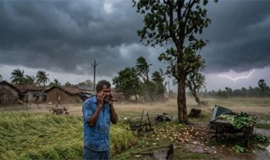 छत्तीसगढ़ में अगले 48 घंटे भारी बारिश का अलर्ट, IMD ने येलो चेतावनी जारी की
