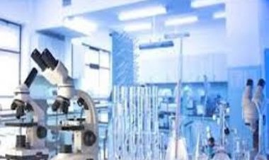 छत्तीसगढ़ उच्च शिक्षा विभाग: प्रयोगशाला परिचारक भर्ती काउंसलिंग का शेड्यूल जारी